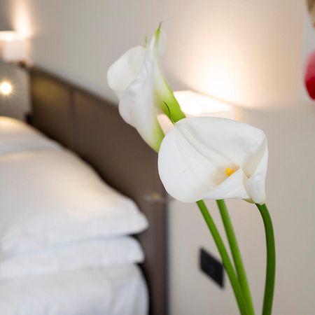 Hotel Plaza 샌마티노시크마리오 외부 사진