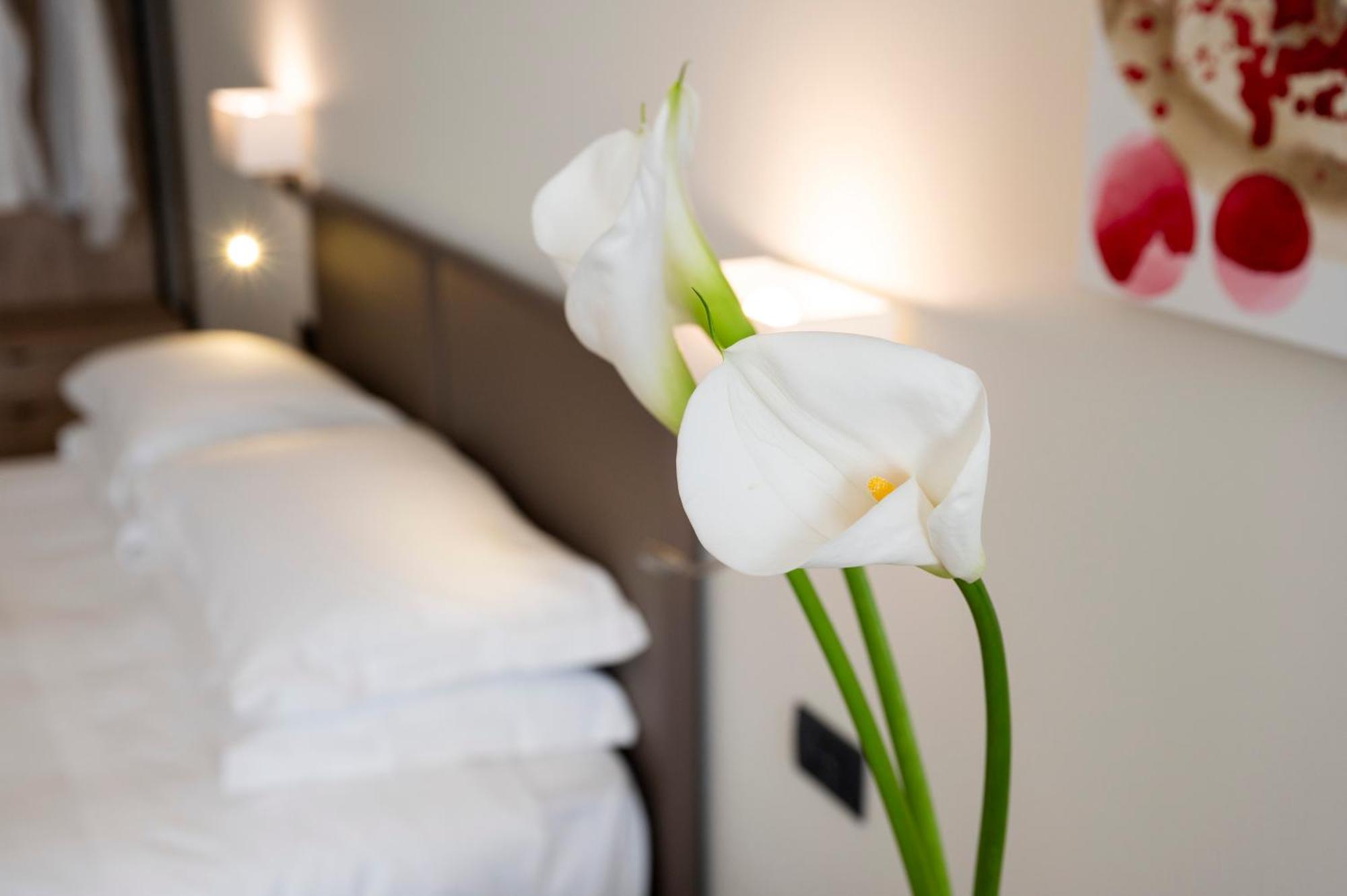Hotel Plaza 샌마티노시크마리오 외부 사진